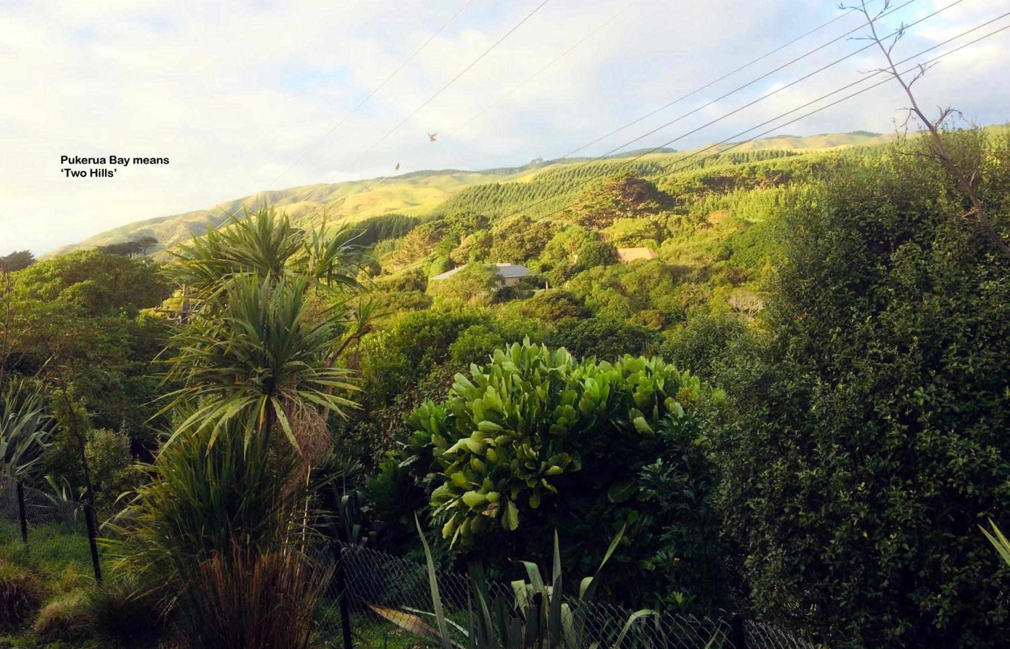 Peaceful Pukerua Bay Apartment Exterior photo
